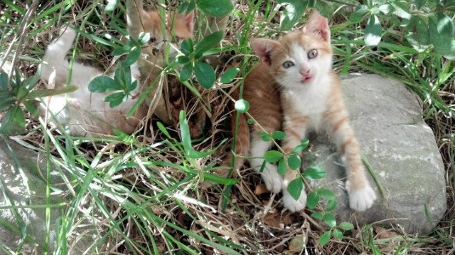 乐鱼体育入口-普里戈达赛后总结:经验成优势,普里戈金的哲学